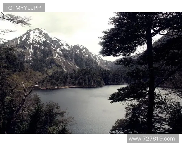 森田由美：在光影交错中追寻梦想与自我价值的旅程