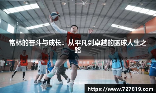 TVT体育在线